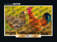 RV602 Gallo con gallina (50 pzas)