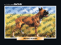 RV603 Perro bóxer (50 pzas)