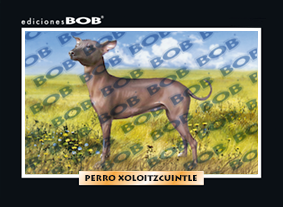 RV604 Perro xoloitzcuintle (50 pzas)