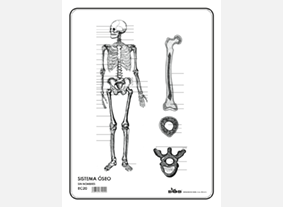 EC20 Sistema óseo s/n (100 pzas)