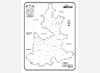 CN199 Puebla División política c/n (100 pzas)