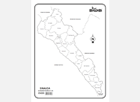 CN223 Sinaloa División política c/n (100 pzas)