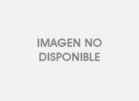 CN033 Euroasiático Africano División política c/n (100 pzas)