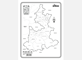 MI21 Puebla División política c/n (200 pzas)