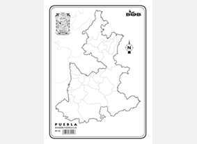 MI22 Puebla División política s/n (200 pzas)
