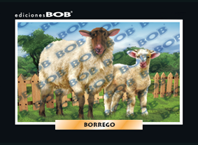 RV003 Borrego (50 pzas)
