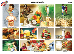 CED06 Alimentación (1 pza)