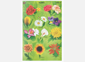 CED17 Flores (1 pza)