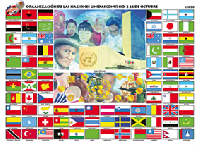 CED30 Organización de las Naciones Unidas (1 pza)