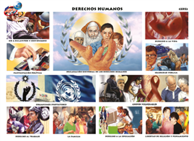 CED32 Derechos humanos (1 pza)
