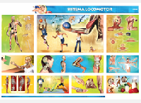 CED58 Sistema locomotor (1 pza)