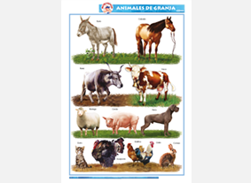 CED50 Animales de granja (1 pza)