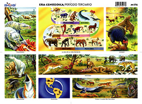 M176 Era cenozoica / período terciario (25 pzas)