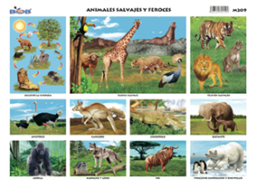 Animales salvajes y feroces (25 piezas)