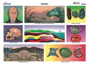 Fu00f3siles (25 piezas)