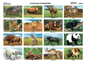 Animales terrestres (25 piezas)