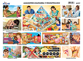 Alimentos chatarra y desnutriciu00f3n (25 piezas)