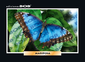 Mariposa (50 pzas)