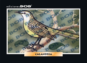 Calandria (50 pzas)