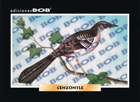 Cenzontle (50 pzas)