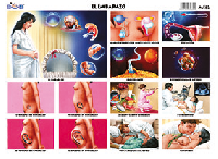 M182 Embarazo (25 pzas)