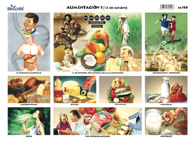 M199 Alimentación 1 / 16 de octubre (25 pzas)