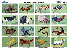 M212 Animales domésticos 2 (25 pzas)