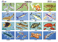 M216 Peces 1 (25 pzas)