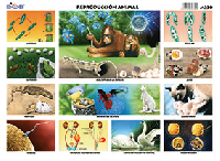 M220 Reproducción animal (25 pzas)