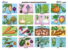 M231 Plantas y raíces comestibles (25 pzas)