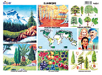 M234 Bosque (25 pzas)