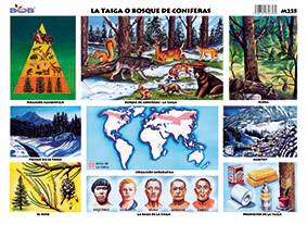M235 Taiga o bosque de coníferas (25 pzas)
