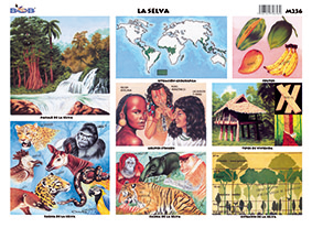 M236 Selva (25 pzas)