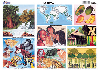 M236 Selva (25 pzas)