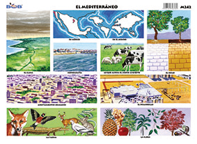 M242 Mediterráneo (25 pzas)