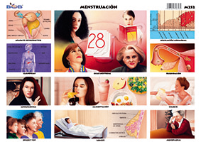 M252 Menstruación (25 pzas)