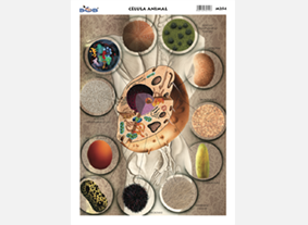 M254 Célula animal (25 pzas)