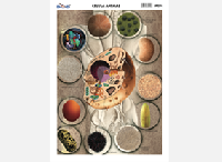 M254 Célula animal (25 pzas)