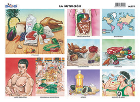 M319 Nutrición (25 pzas)