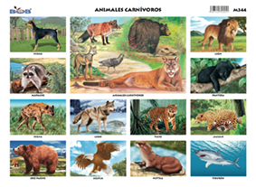 M344 Animales carnívoros (25 pzas)