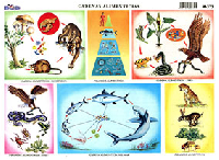 M373 Cadenas alimenticias (25 pzas)