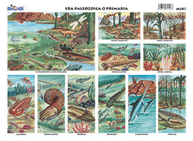 M387 Era paleozoica o primaria (25 pzas)