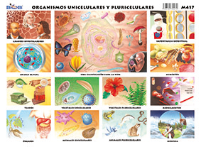 M417 Organismos unicelulares y pluricelulares (25 pzas)