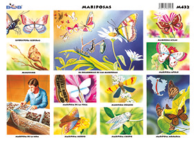 M432 Mariposas (25 pzas)