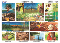 M467 Deforestación (25 pzas)