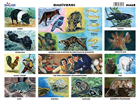 M468 Omnívoros (25 pzas)