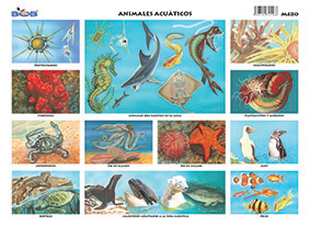 M480 Animales acuáticos (25 pzas)