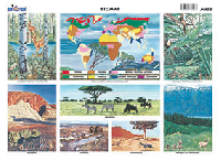 M488 Biomas / ecosistemas (25 pzas)