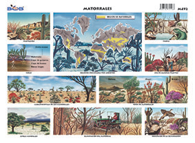 M492 Matorrales (25 pzas)