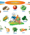 Verduras / Vegetables